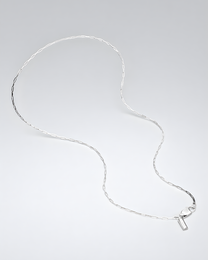 Clip Chain Necklace