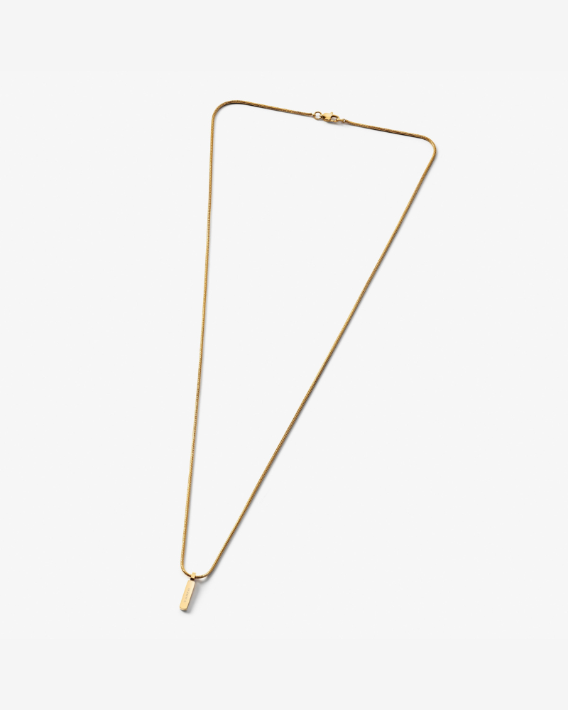 Snake Chain Necklace with Pendant